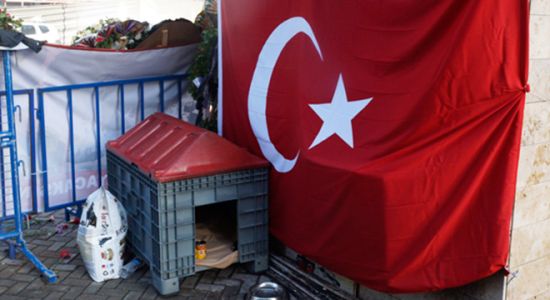 İzmirliler şehit Sekin'in köpeği Zeytin'i unutmadı